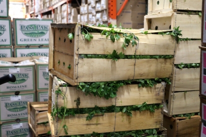 crats of fresh herbs and produce line the walkways of the Citarella warehouse 