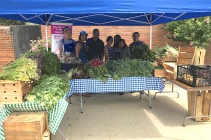 Mott Haven Farm Stand crew in front of a mountain of fresh local produce 