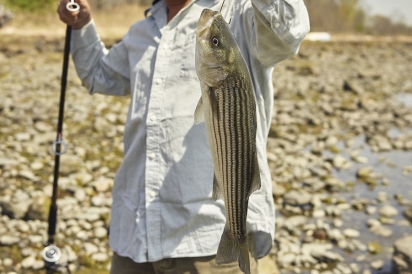 Jose Carcamo with a striped bass
