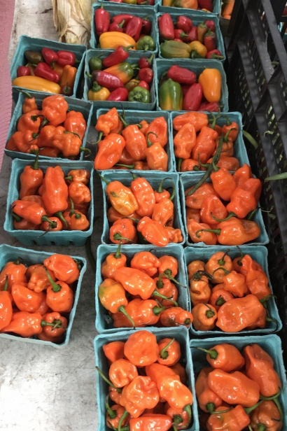 Vibrantly colored red and orange chile peppers 